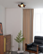 Casia Ceiling Light