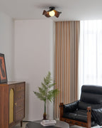 Casia Ceiling Light