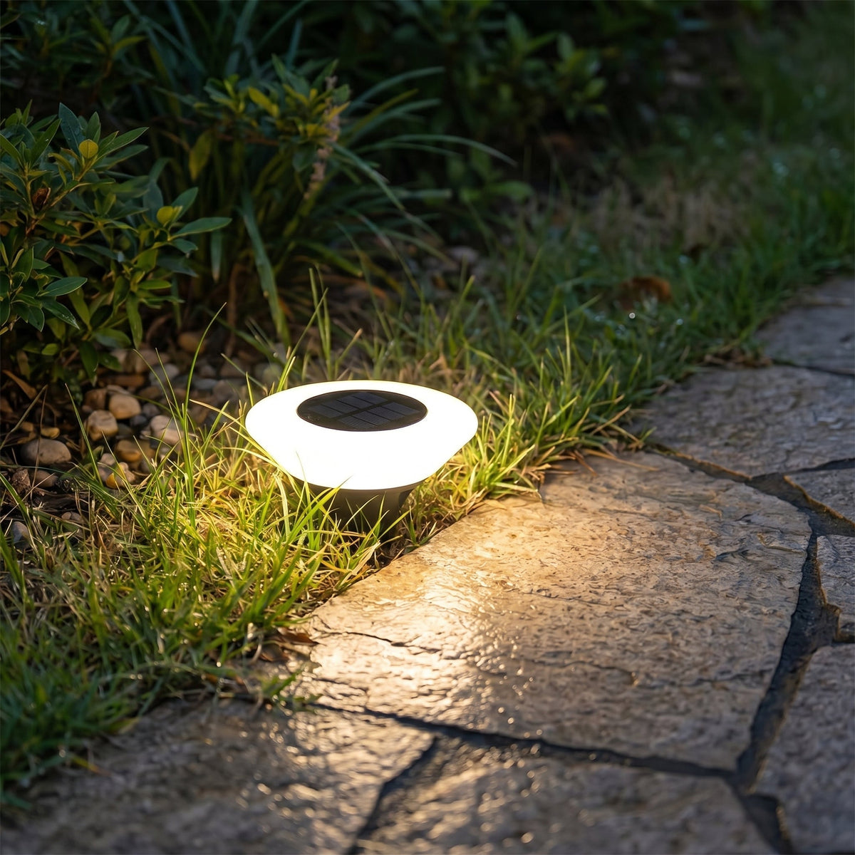 Ground LED Solar Light